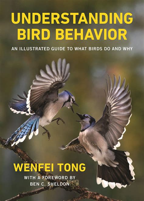 Understanding Bird Behavior and Communication