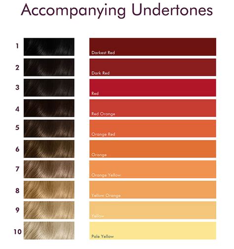 Understanding Blonde Levels and Undertones