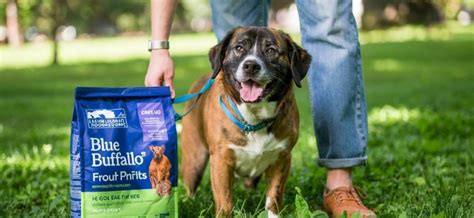 Understanding Blue Buffalo%27s Reputation