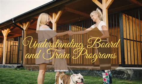 Understanding Board and Train Programs in Marietta