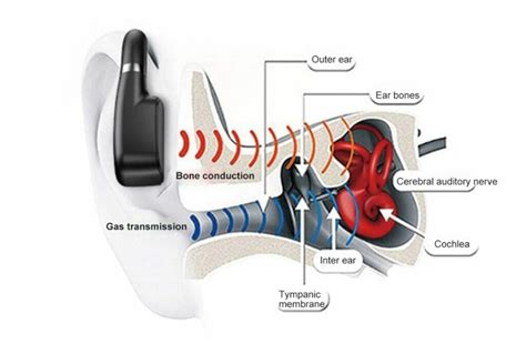 Understanding Bone Conduction Technology How It Works With a Mic