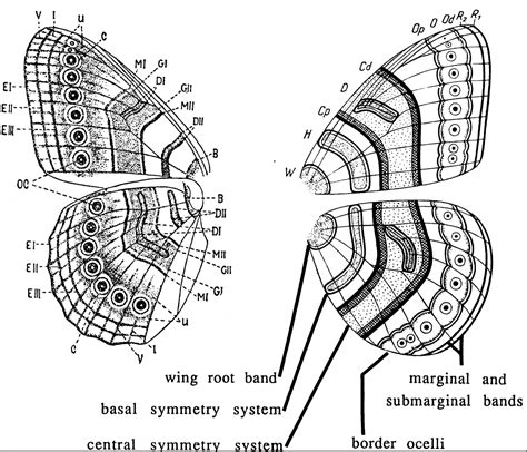 Understanding