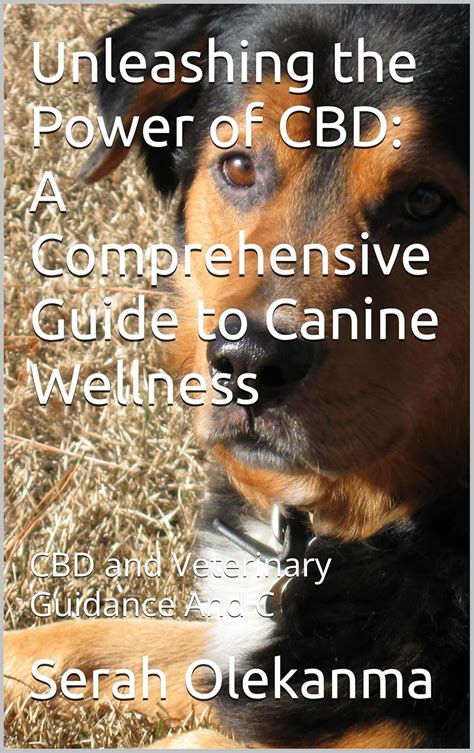 Understanding CBD for Canine Wellness