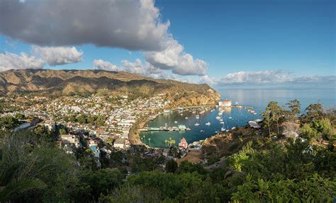 Understanding Catalina Island