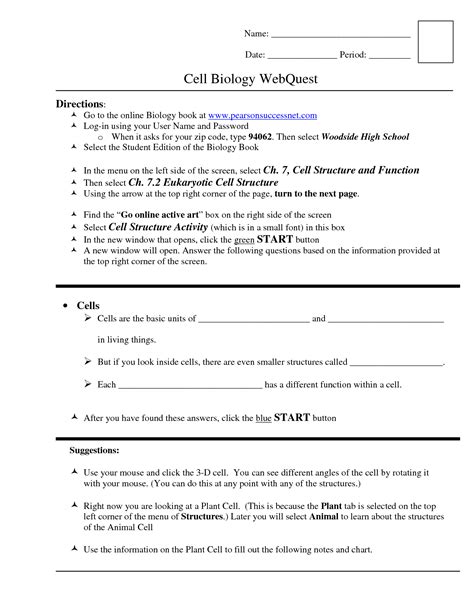 Understanding Cellular Structures