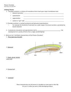 Understanding Chordate Evolution In Section 33-1