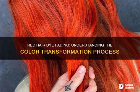 Renew Hair Dye