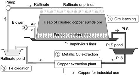 Understanding Copper Content and Leaching