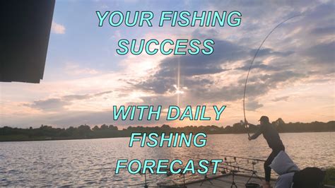 Understanding Daily Fishing Forecasts
