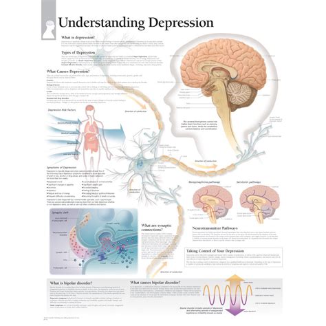 Understanding Depression Background: A Detailed Table Breakdown