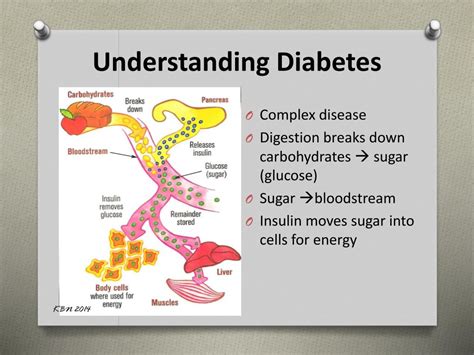 Understanding Diabetes: The Basics