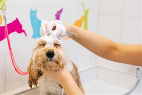 Understanding Different Grooming Styles