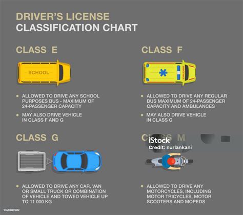 Understanding Different License Types