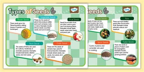 Understanding Different Seed Categories