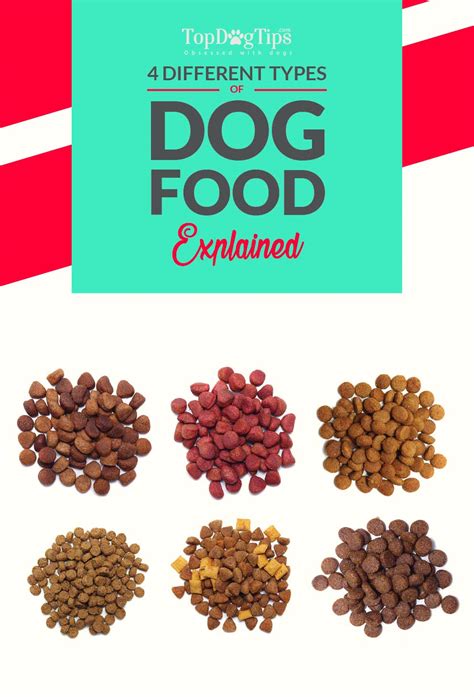 Understanding Different Types of Dog Food