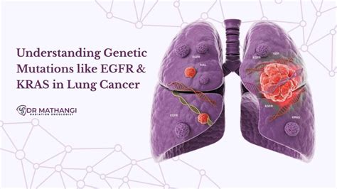 Understanding EGFR Lung Cancer Targeted Therapy