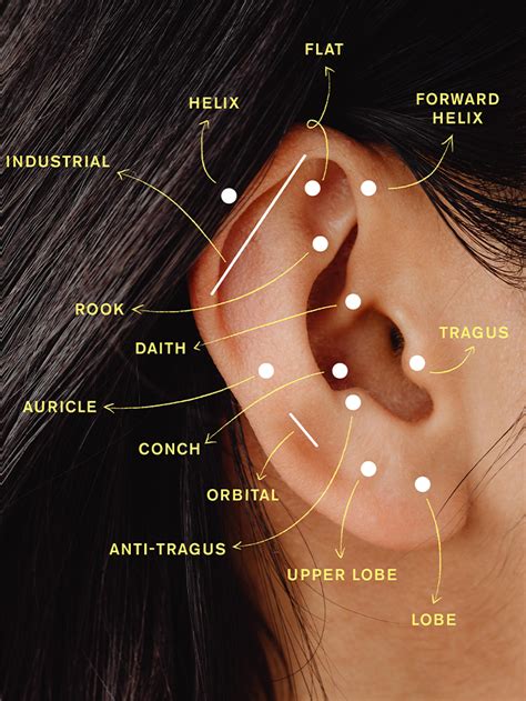 Understanding Ear Piercings