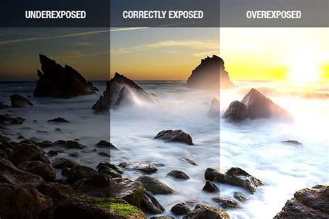 Understanding Exposure Levels