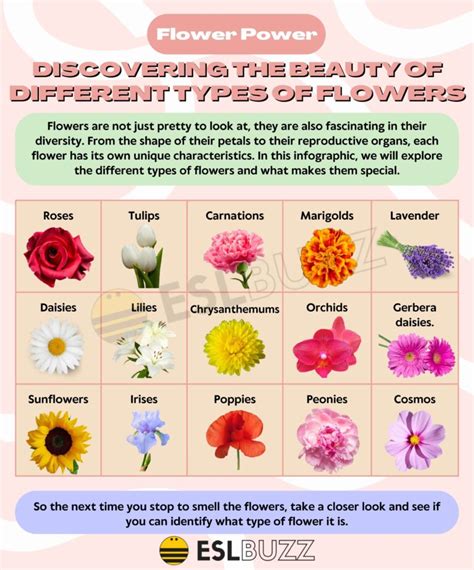 Understanding Flower Characteristics