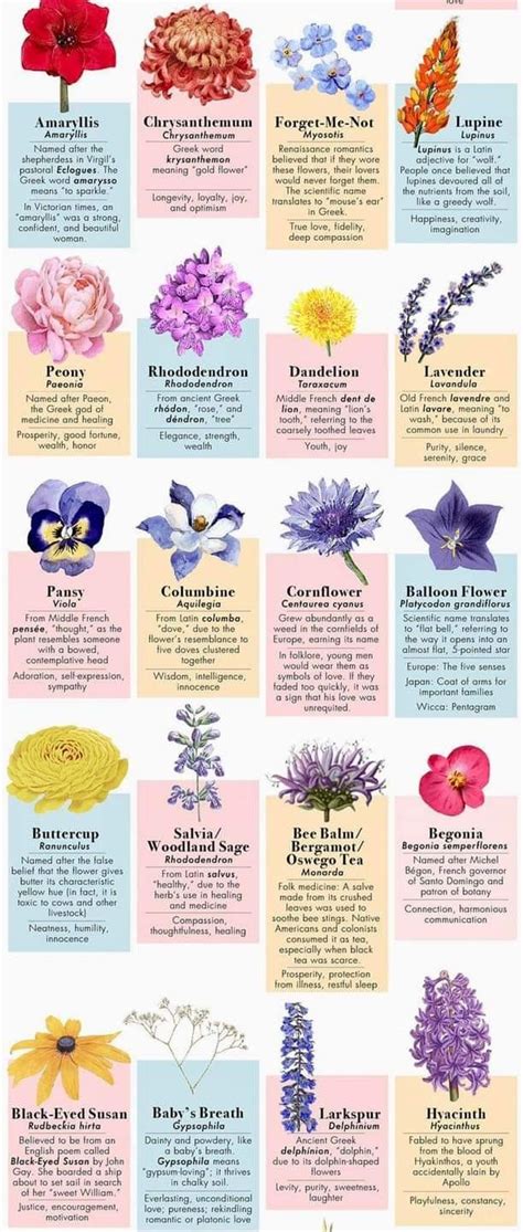 Understanding Flower Meanings