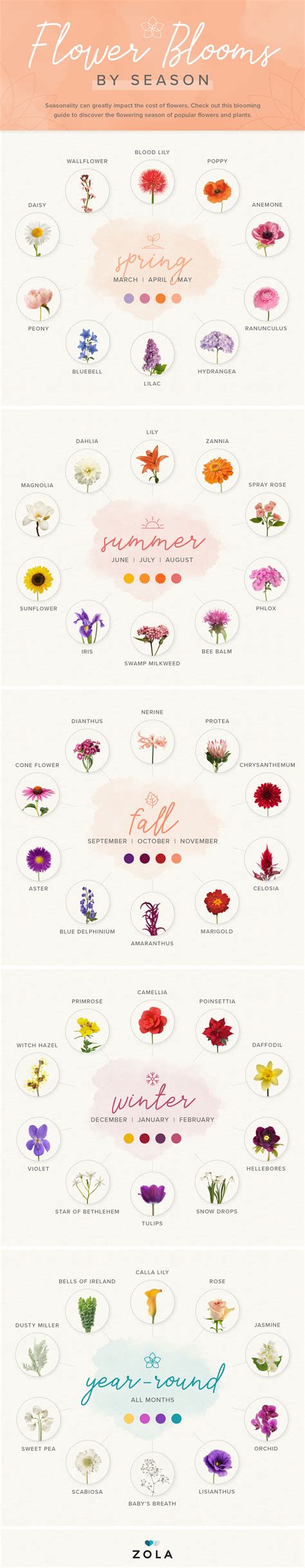 Understanding Flower Types by Bloom Season