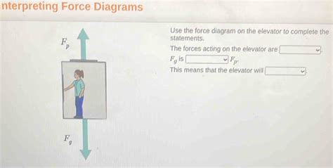 Understanding Forces in an Elevator