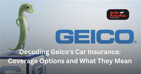 Understanding Geico's Coverage Options