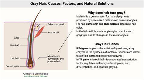 Understanding Gray Hair
