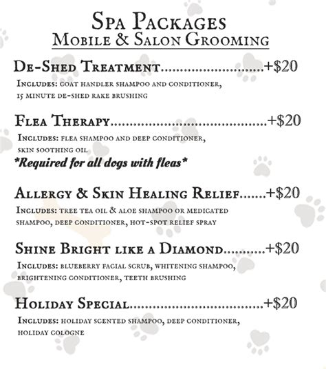 Understanding Grooming Packages and Pricing