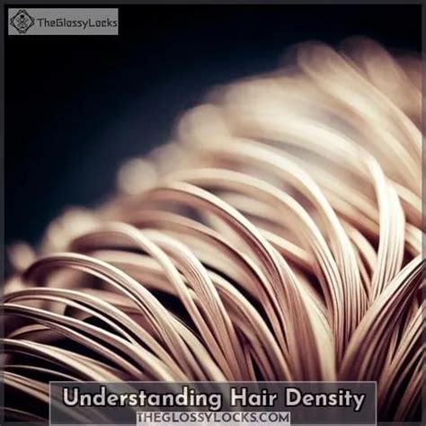 Understanding Hair Grades and Density
