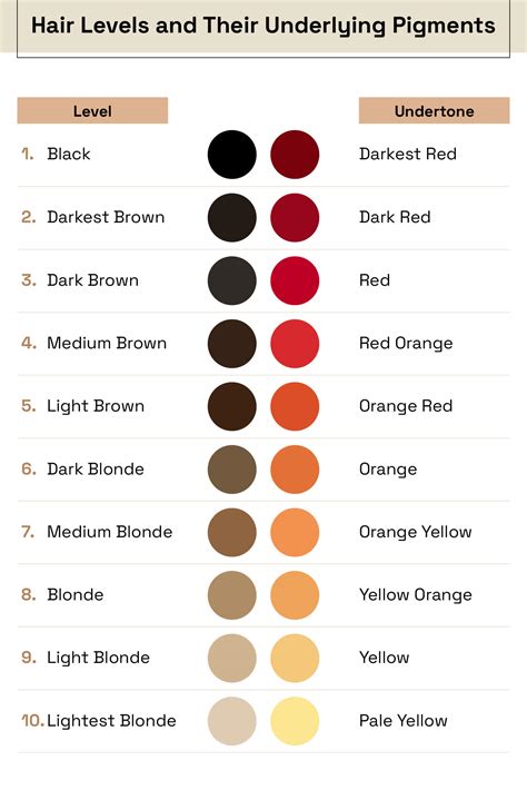Understanding Hair Levels and Tones