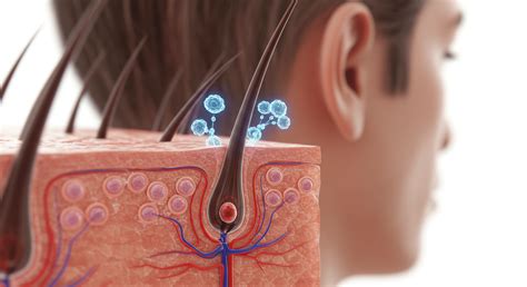 Understanding Hair Loss Biology