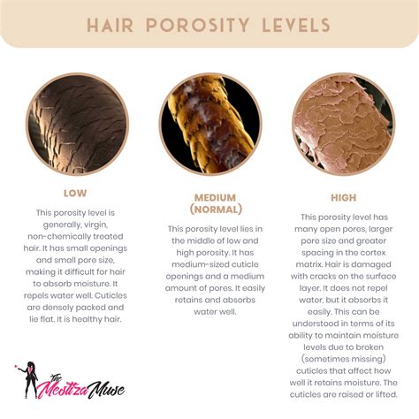 Hair Porosity