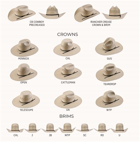 Understanding