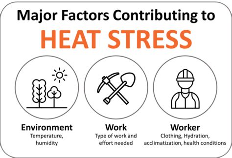 Understanding Heat Stress