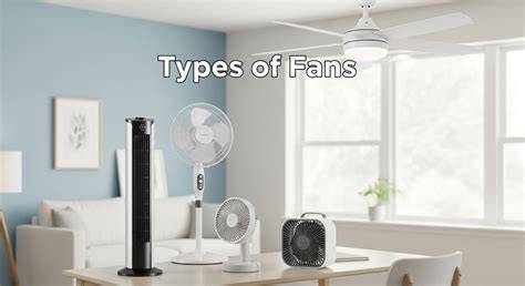 Understanding How Much Is User Mistress Fans: Complete Guide 2026