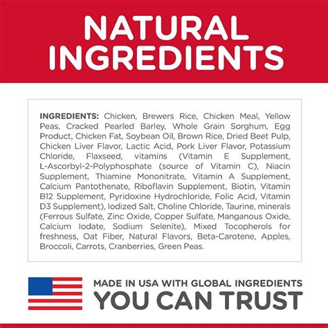 Understanding Ingredients in The Science Diet Dog Food