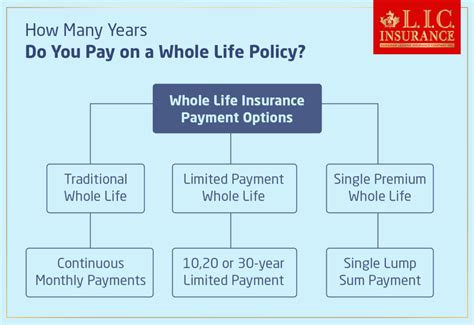 Understanding Insurance and Payment Options