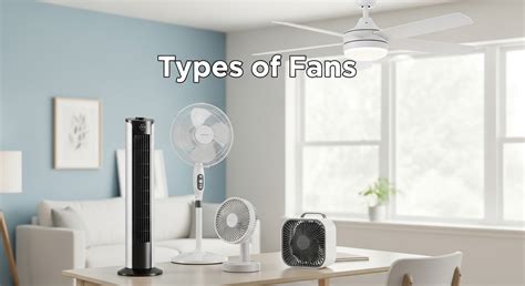 Understanding Jamison Hunt14 Fans: Complete Guide 2026