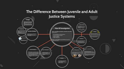 Understanding Juvenile vs. Adult Justice Systems