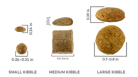 Understanding Kibble Size and Texture