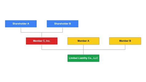 Understanding LLC Ownership and Member Roles