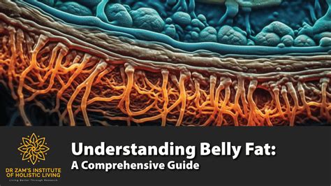 Understanding Lower Belly Fat
