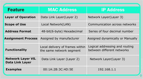 Understanding MAC Addresses and IP Addresses