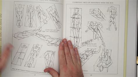 Understanding Manga Fundamentals in Manga Drawing Guide Ultimate Tutorial