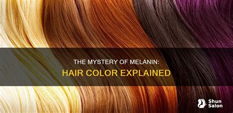 Understanding Melanin and Hair Color