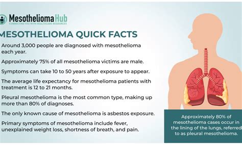 Understanding Mesothelioma