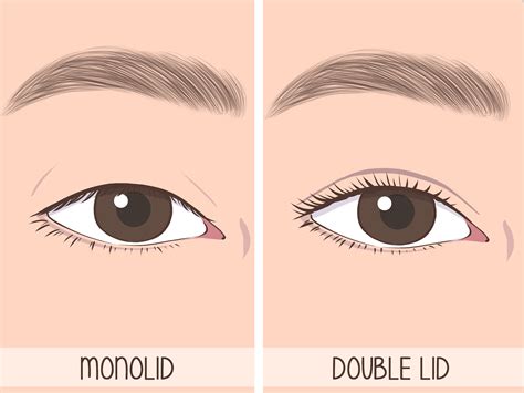 Understanding Monolids