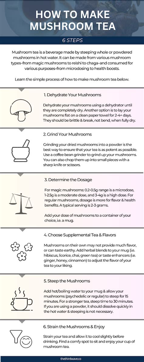 Understanding Mushroom Tea