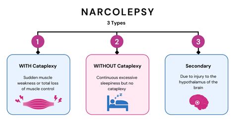 Understanding Narcolepsy Types